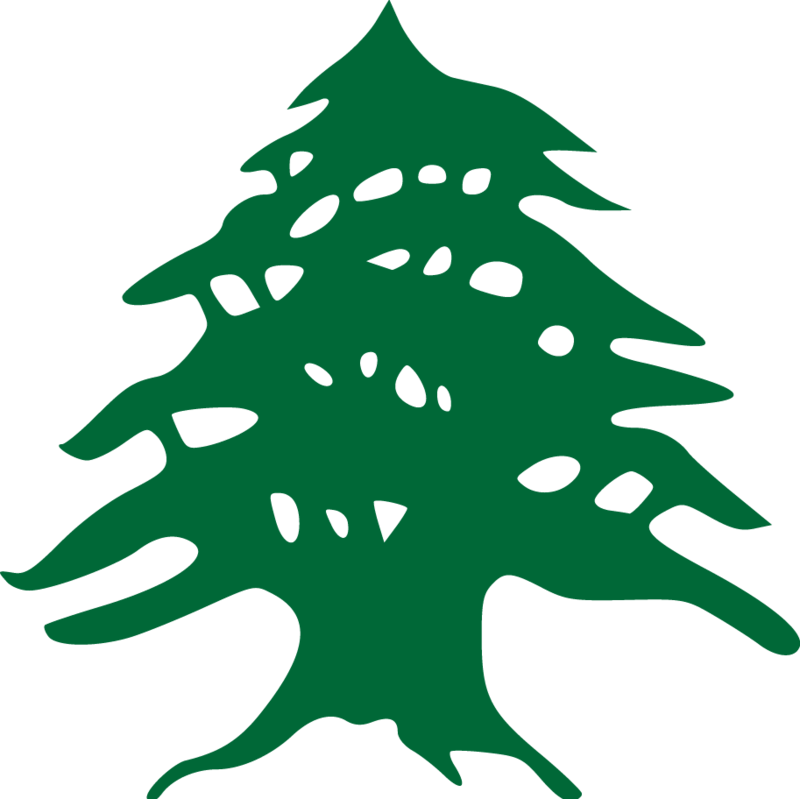 Logo img